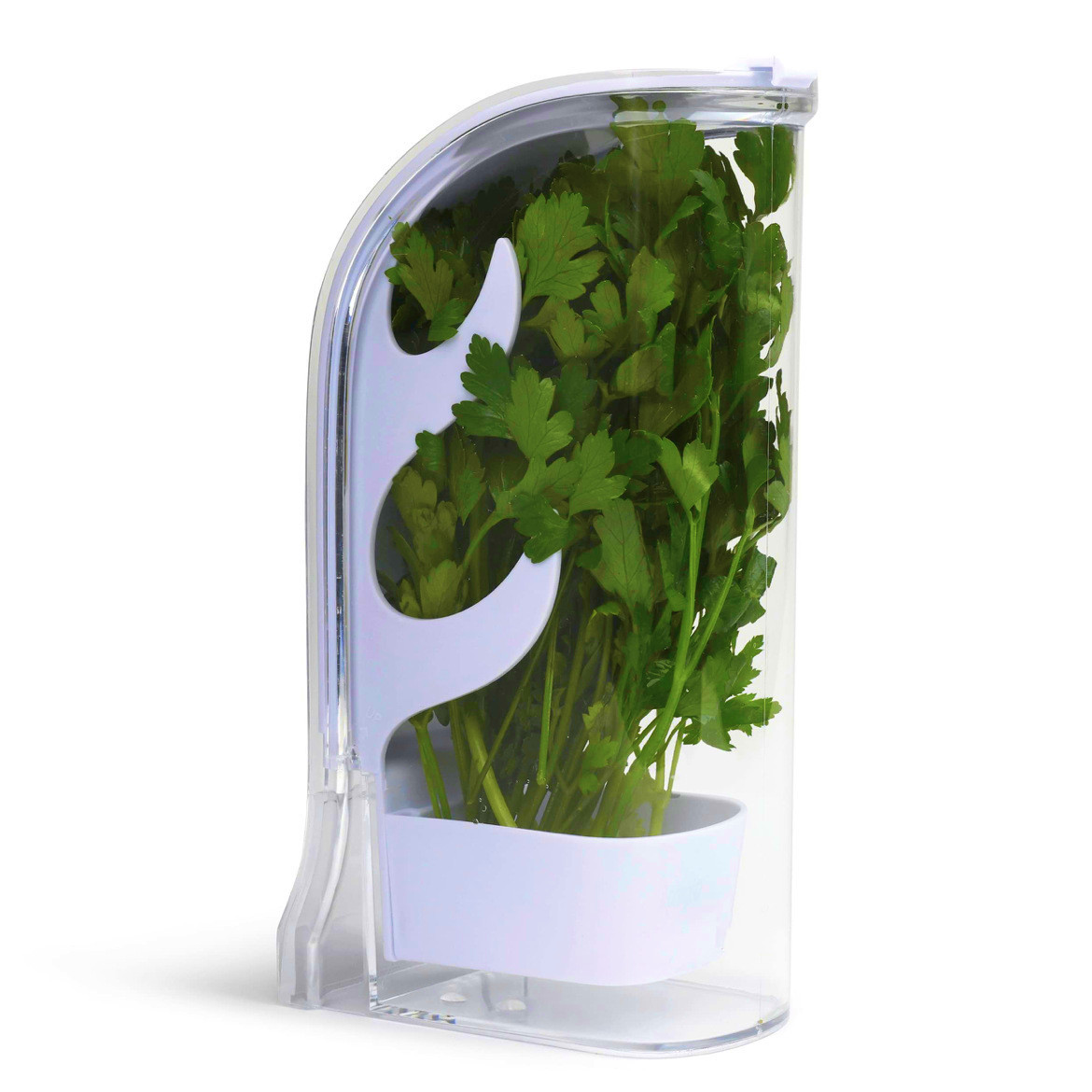Herb Keeper Container - عشب هش التوقف الحاويات الثلاجة الجانب