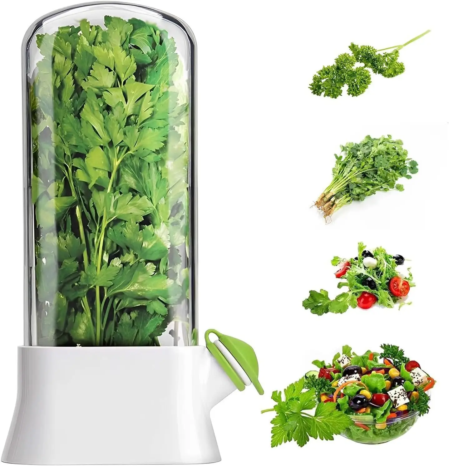 Herb Keeper Container - حافظة الأعشاب للثلاجة تحافظ على الأعشاب
