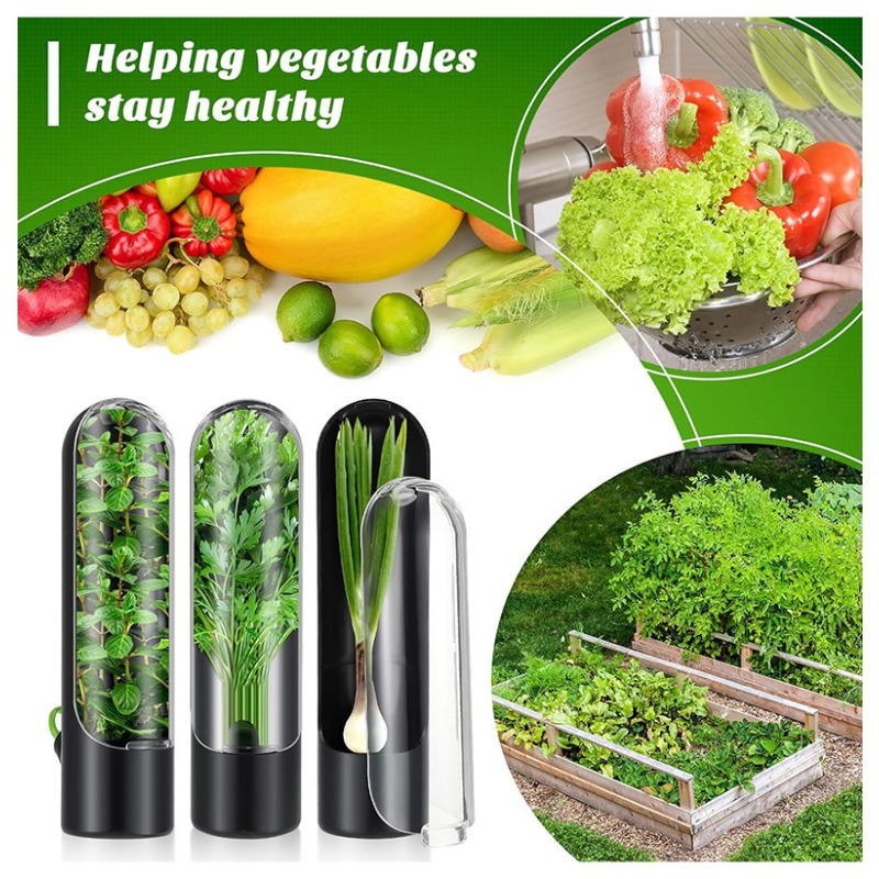 Herb Keeper Container - 1/2/3 قطع من حاويات حفظ الأعشاب