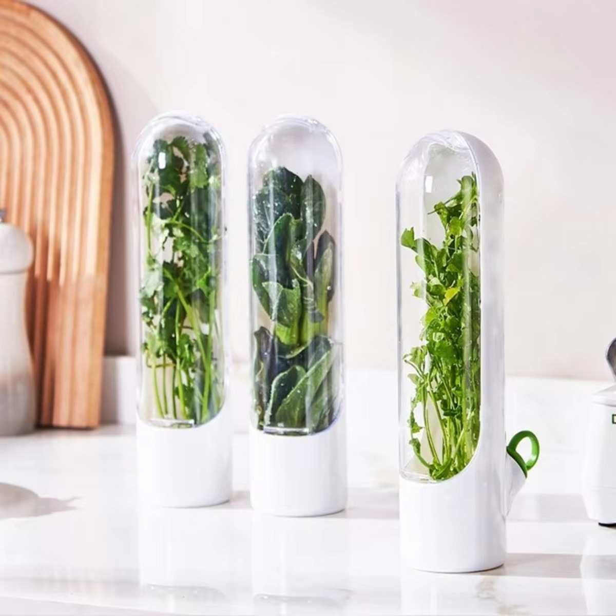 Herb Keeper Container - 1/2 قطعة حاوية حفظ الأعشاب الطازجة،
