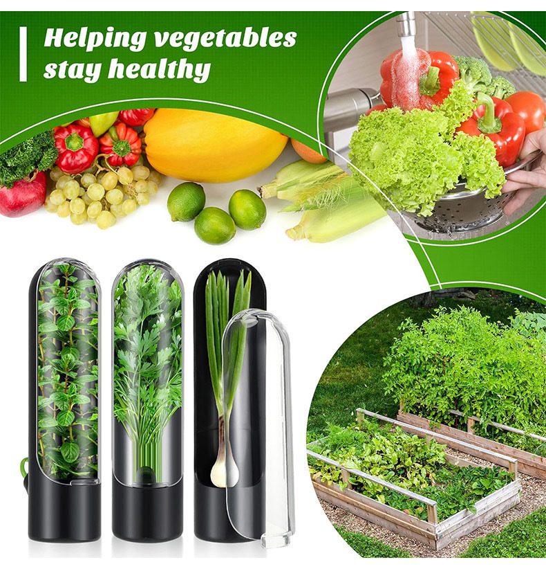 Herb Keeper Container - زجاجة حفظ الخضروات الطازجة، حاوية تخزين