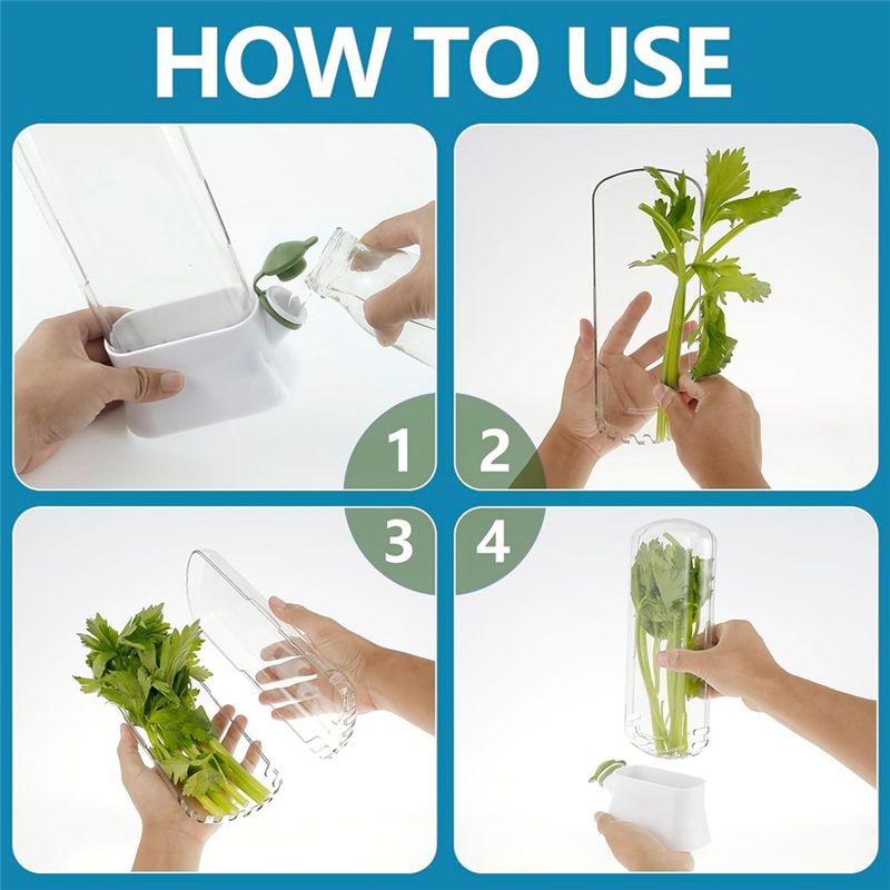 حافظة الأعشاب الطازجة للثلاجة، - مراجعة Herb Keeper Container وسعره