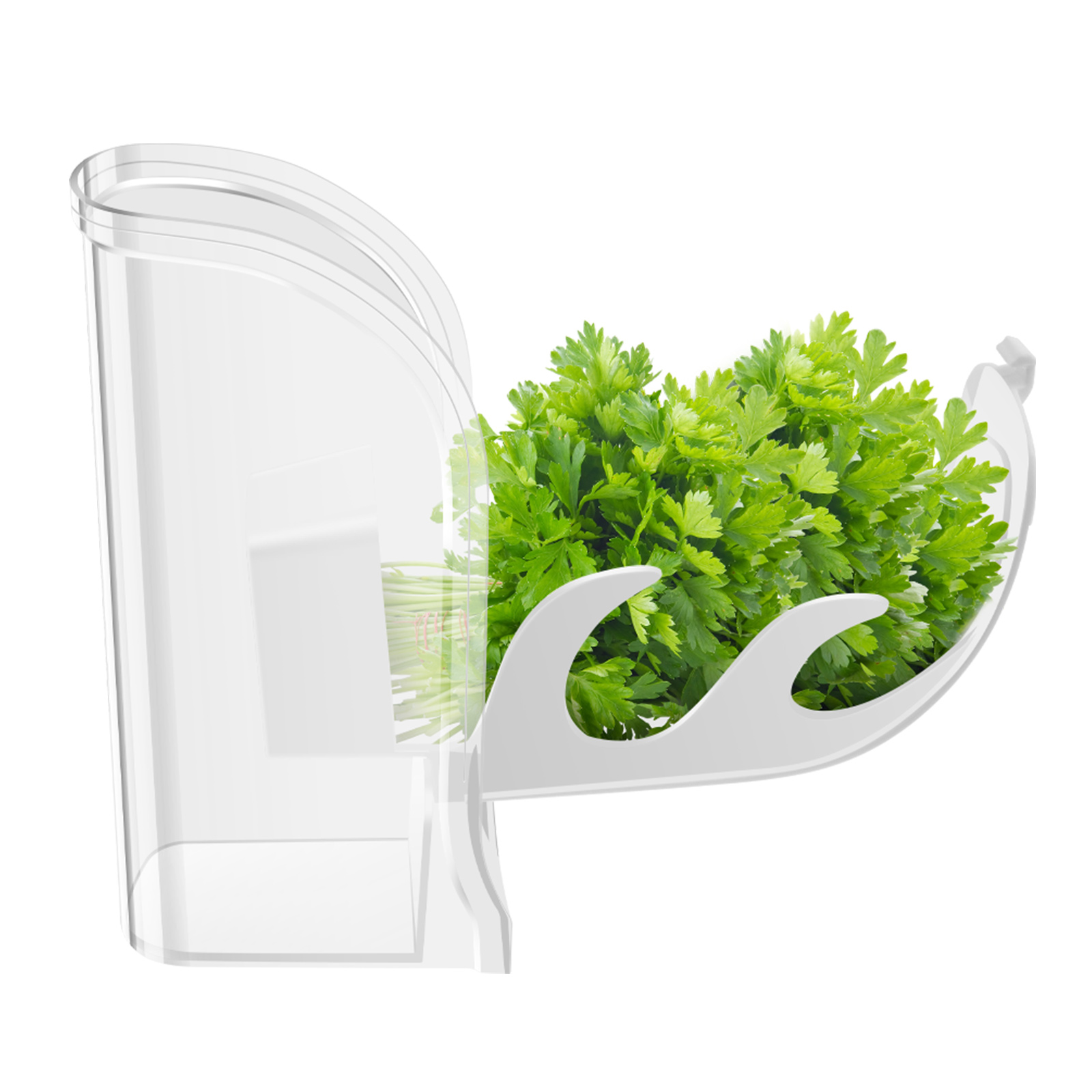 عشب هش التوقف الحاويات الثلاجة - مراجعة Herb Keeper Container وسعره