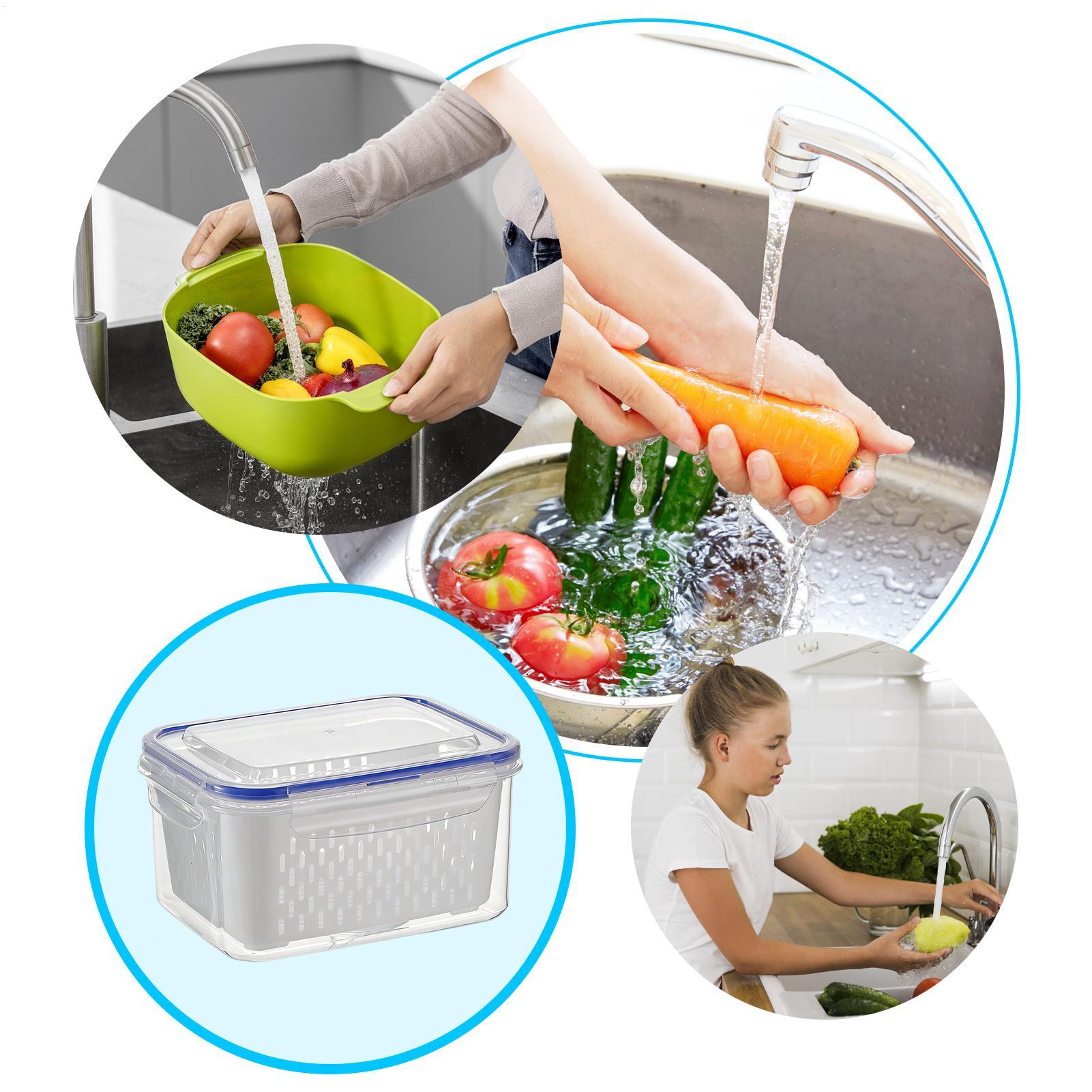 حاوية تخزين طعام 4 في 1، منظما - مراجعة Food Storage For Refrigerator وسعره