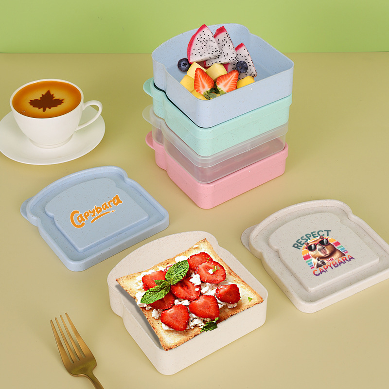 كابيبارا ساندويتش الغذاء حقيبة - مراجعة Food Storage Lunch Box وسعره