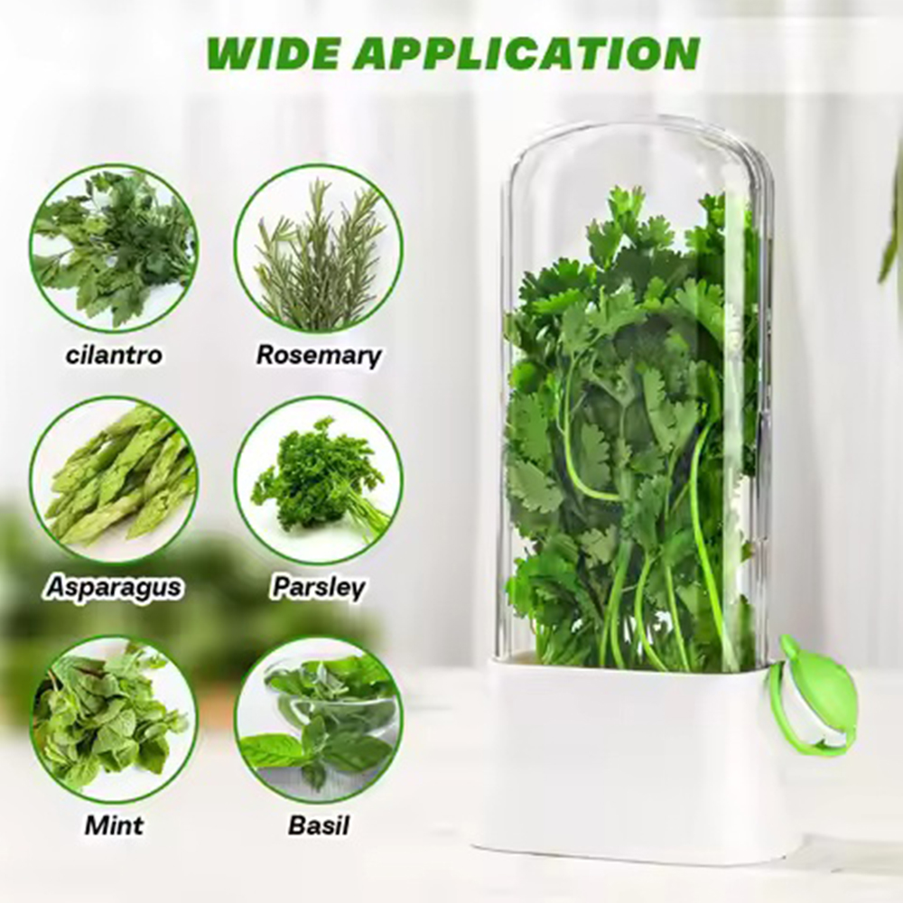 1 قطعة الثلاجة عشب هش التوقف ج - مراجعة Herb Keeper Container وسعره