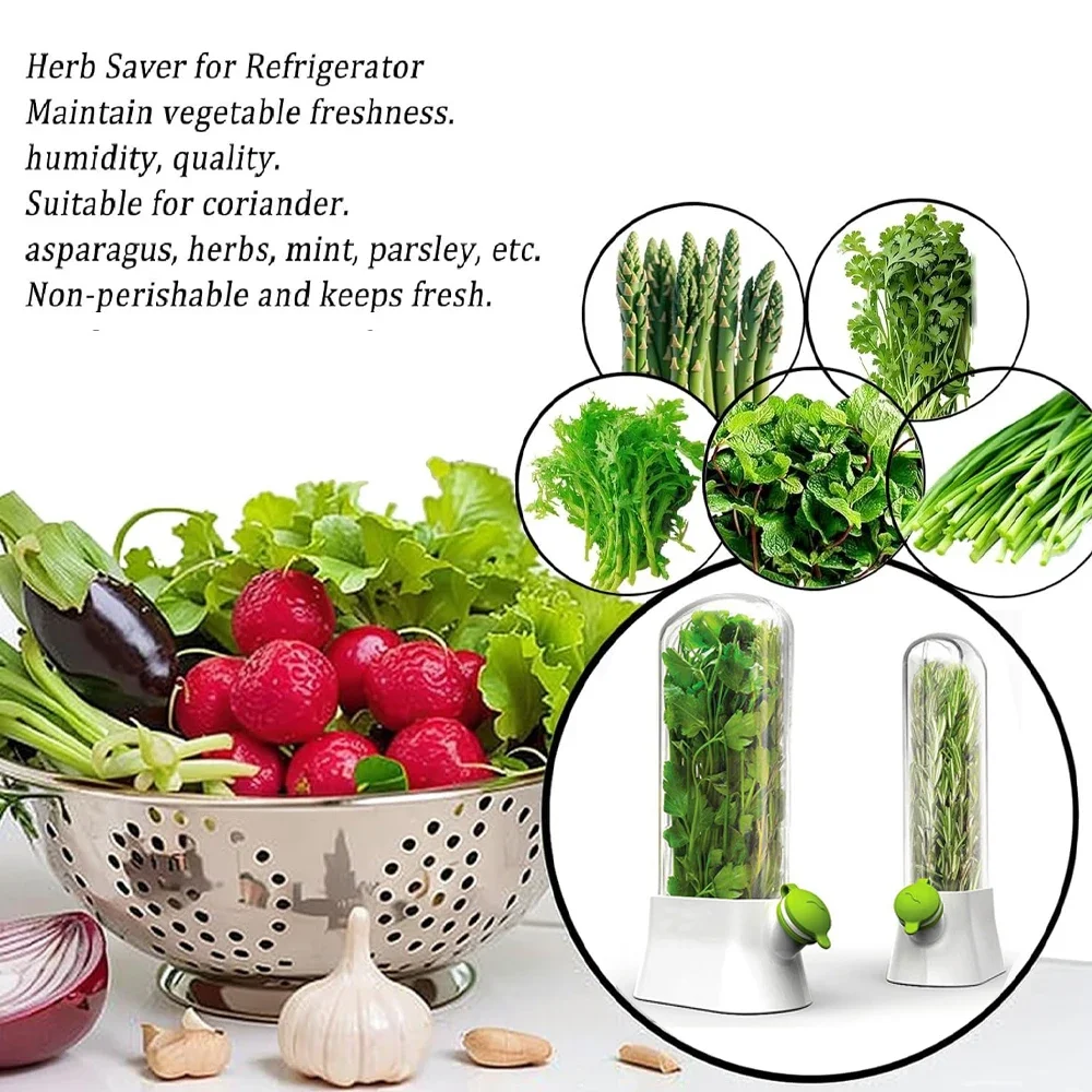 حاوية تخزين توفير الأعشاب زجاج - مراجعة Herb Keeper Container وسعره