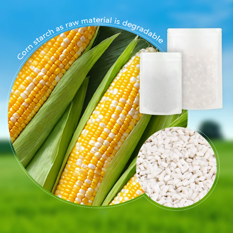 أكياس ورق الكرافت القابلة للتح - مراجعة Food Storage Of Plants وسعره