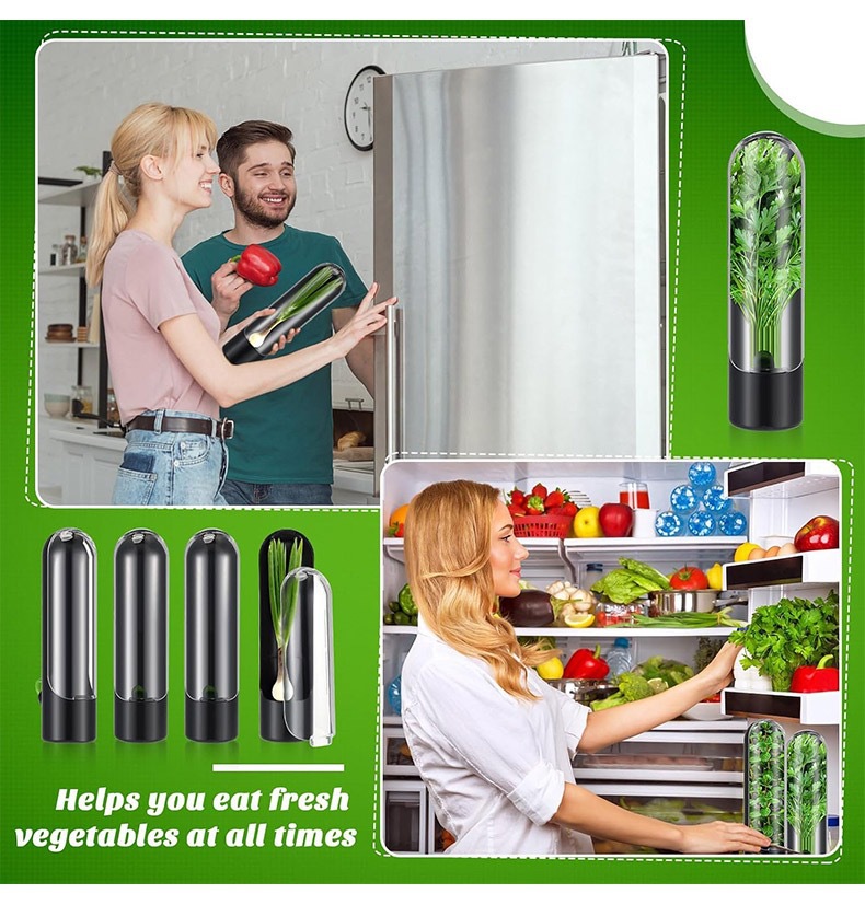 زجاجة حفظ الخضروات الطازجة، حا - مراجعة Herb Keeper Container وسعره